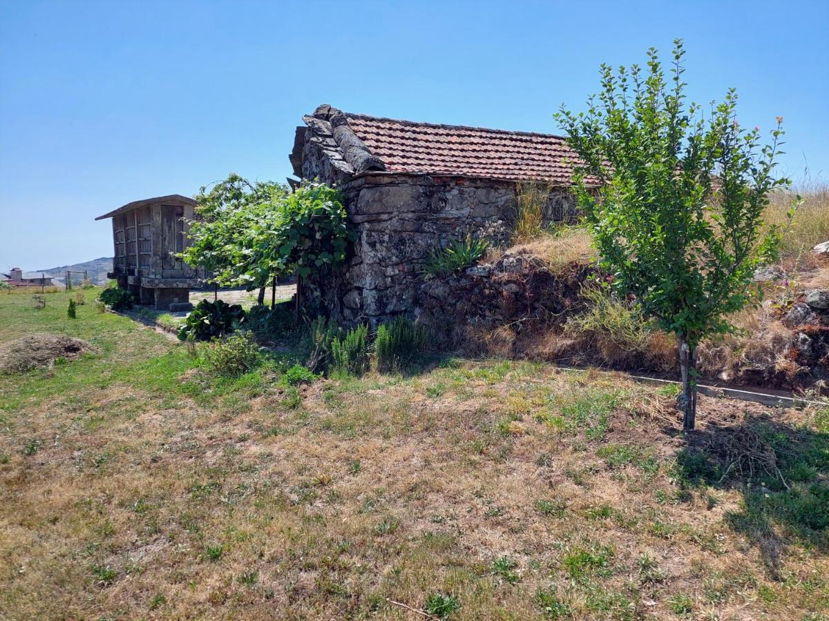 Casa Do Sobrado Arouca Villa Kültér fotó