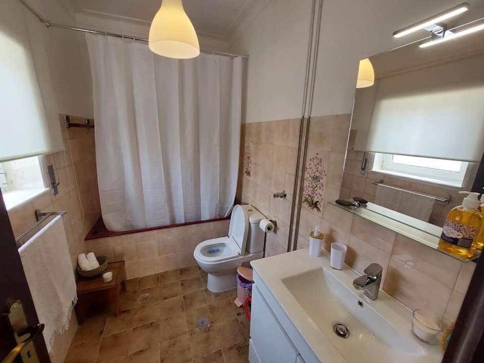 Casa Do Sobrado Arouca Villa Kültér fotó